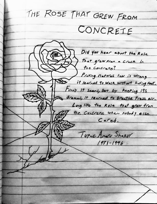 A Rose That Grew Drop Earrings