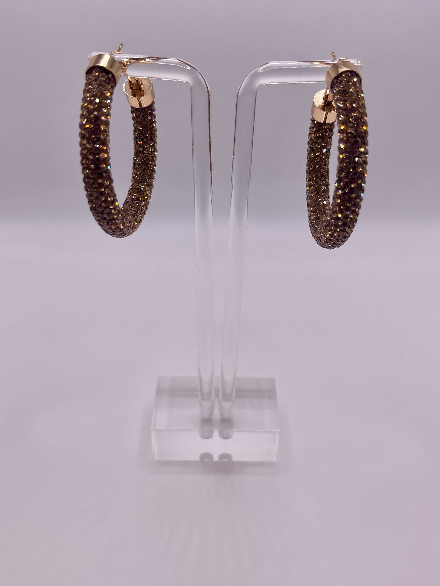 La Bronze James Crystal Hoop Earrings